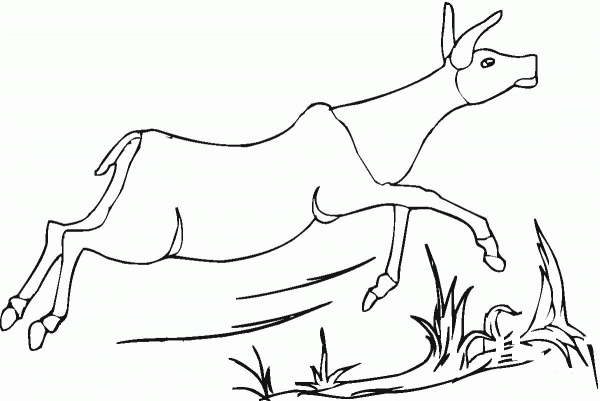 Antelope Runs coloring page image