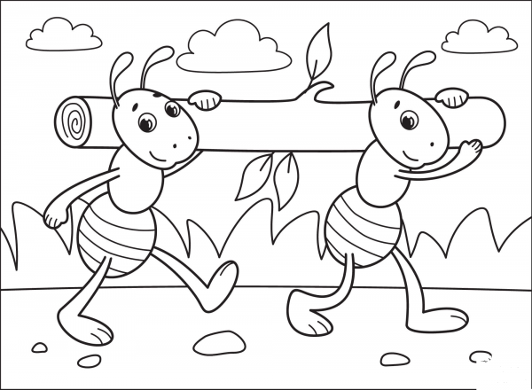 Ants coloring page image