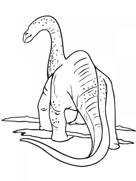Apatosaurus Dinosaur coloring page image