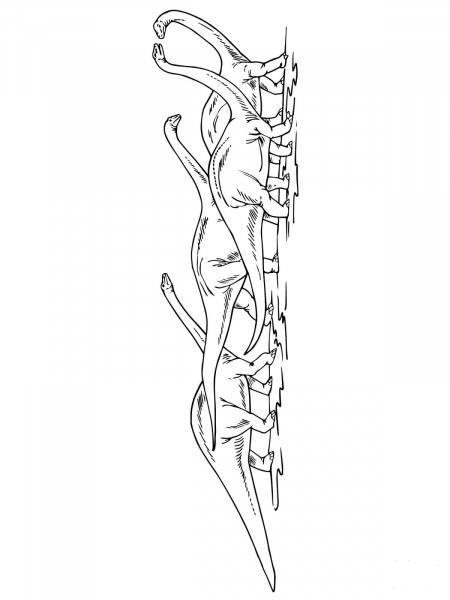 Apatosaurus Herd coloring page image