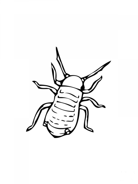 Aphid coloring page image