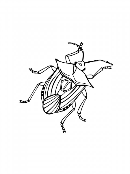 Aphid Insect coloring page image