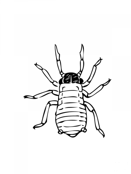 Aphid or Greenfly coloring page image