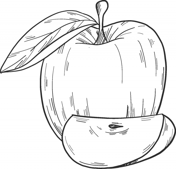 Apple and apple slice coloring page image