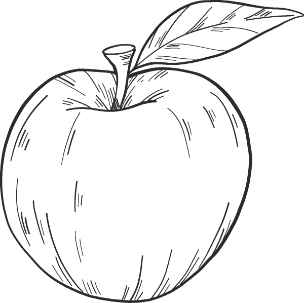 Apple coloring page image