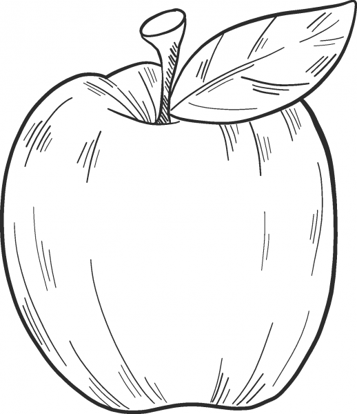 Apple coloring page image