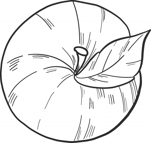 Apple coloring page image