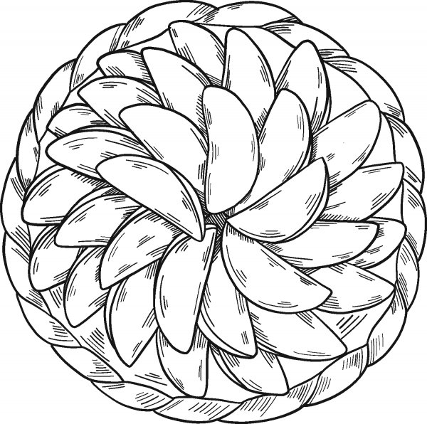 Apple Pie coloring page image