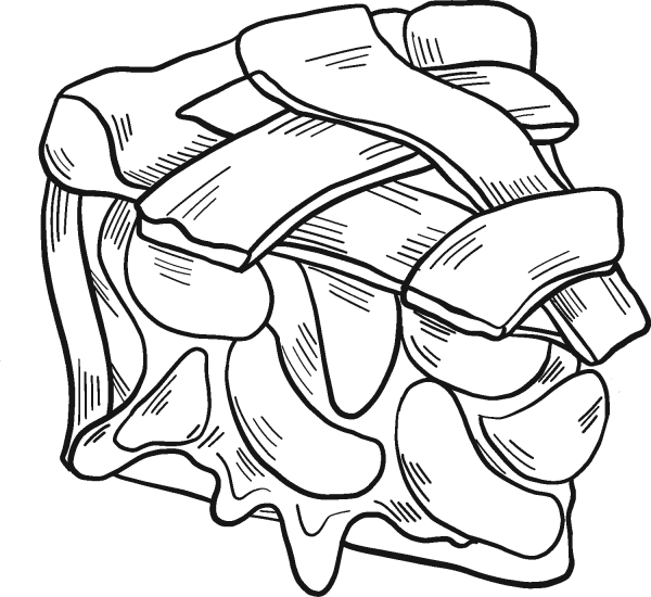 Apple Pie Slice coloring page image