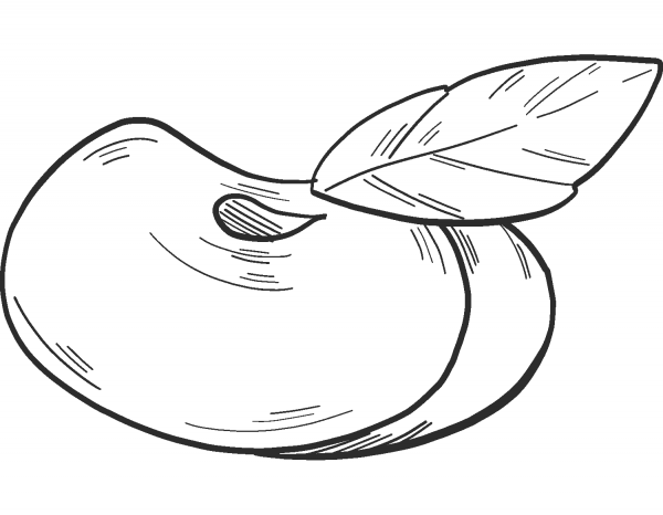 Apple slice coloring page image