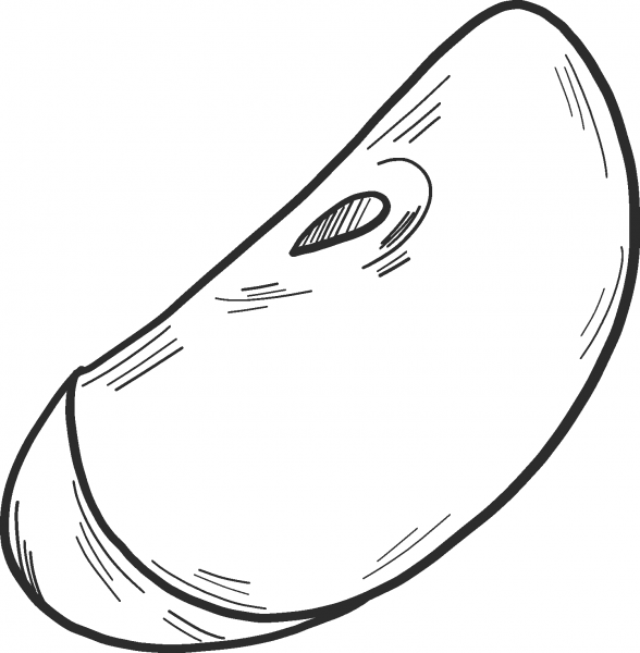 Apple slice coloring page image