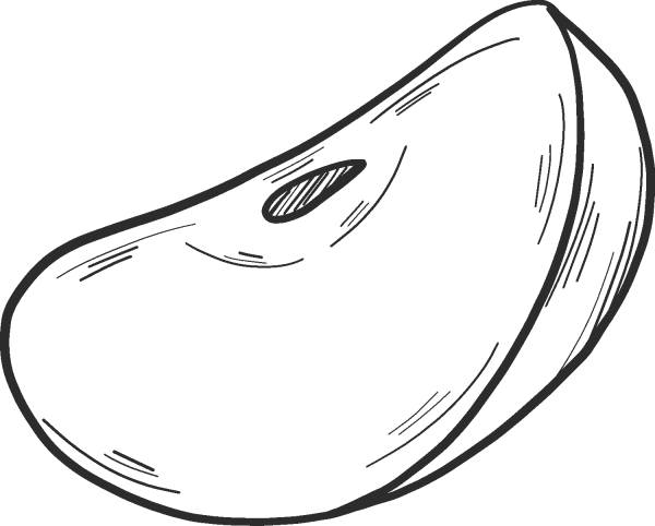 Apple slice coloring page image