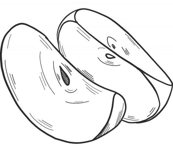 Apple slices coloring page image