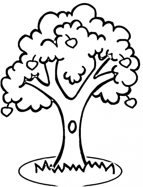 Apple Tree coloring page image