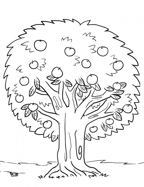 Apple Tree coloring page image