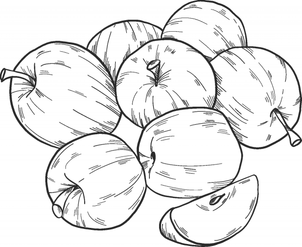 Apples coloring page image