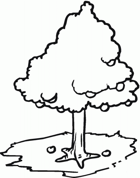 Apples fall from the tree coloring page image