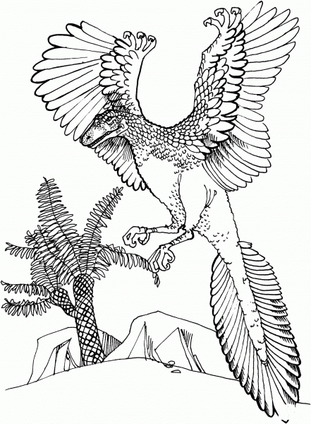 Archaeopteryx Jurassic Bird coloring page image