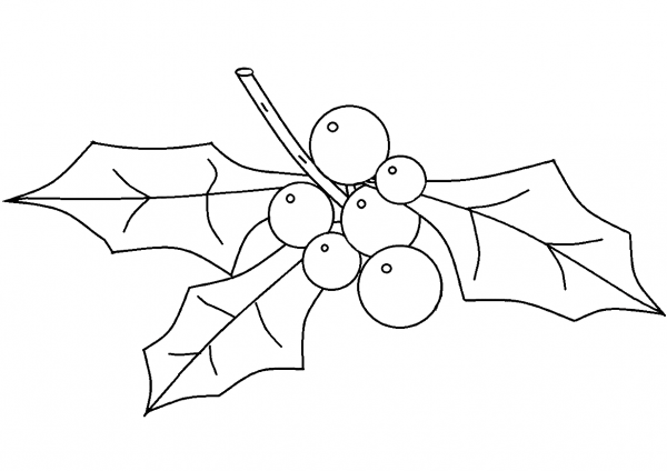 Holly coloring page image