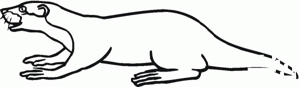 Honey badger coloring page image