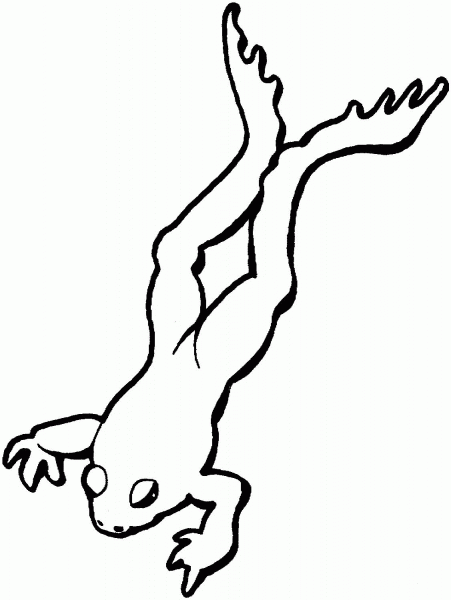 Hopping Frog coloring page image
