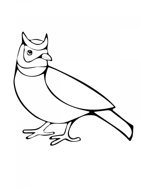 Horned Lark coloring page image