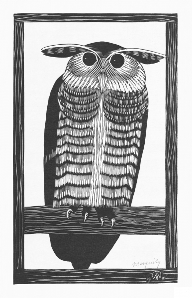 Horned Owl coloring page image