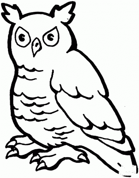 Horned Owl coloring page image