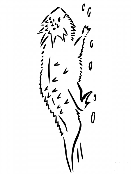 Horned Toad Lizard coloring page image