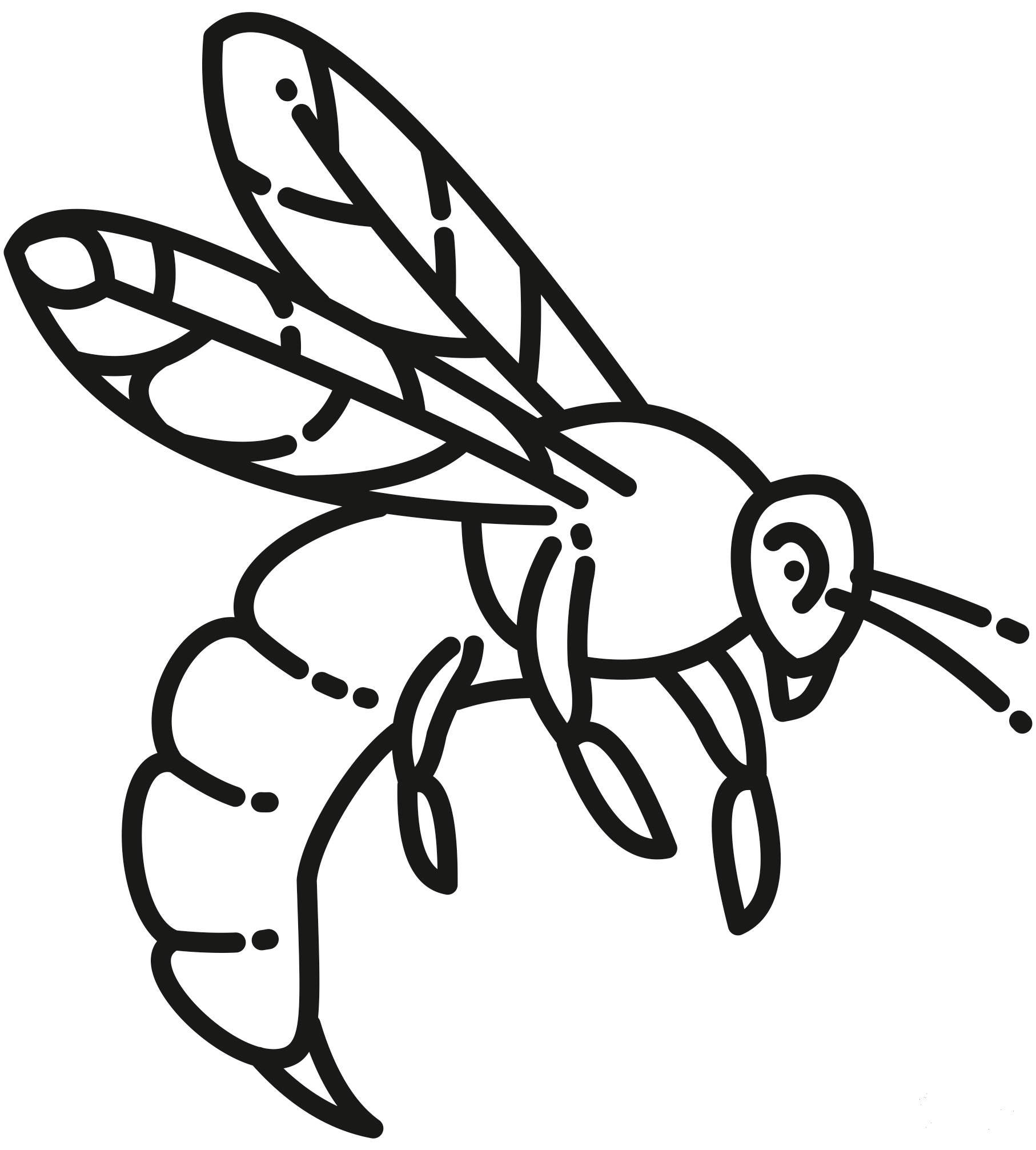 Hornet Coloring Page Colouringpages 9509