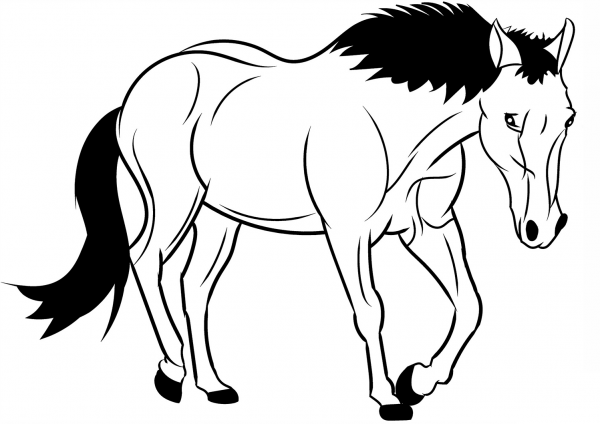 Horse coloring page image