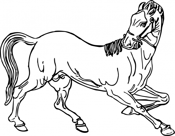 Horse coloring page image