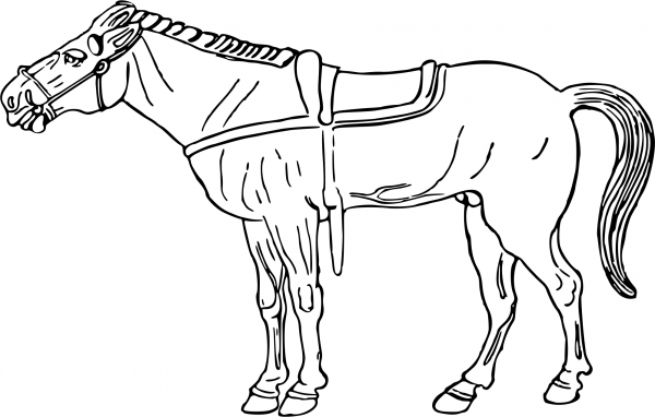 Horse coloring page image
