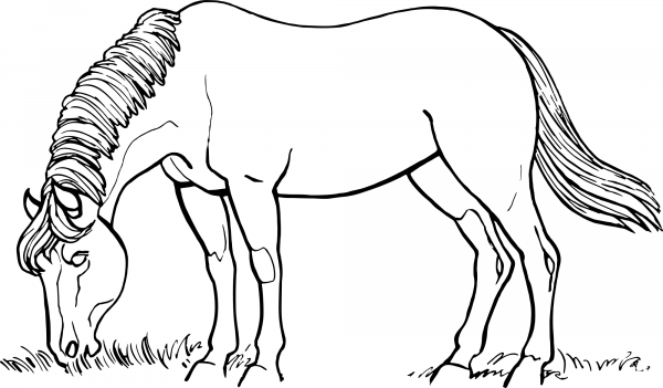 Horse Eating coloring page image