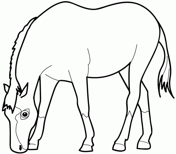Horse Eating Grass coloring page - ColouringPages