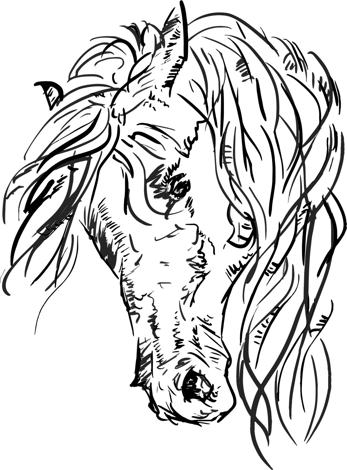 Horse Head coloring page - ColouringPages