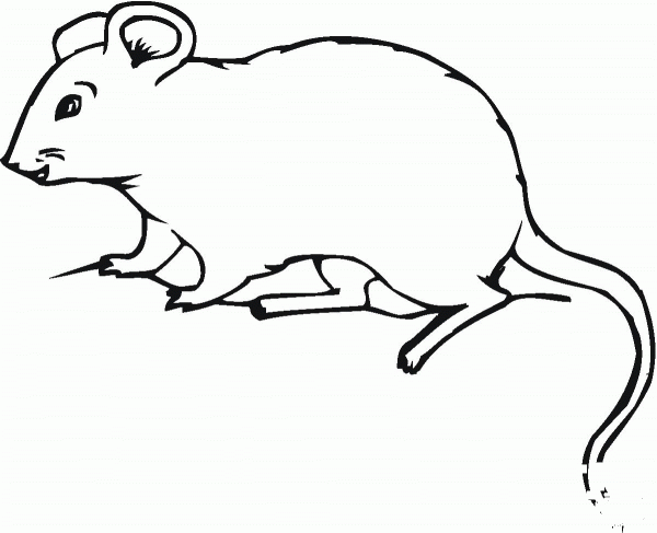 House Mouse coloring page image