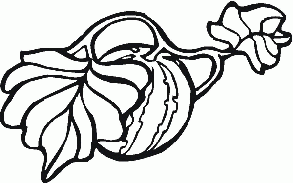 How Does Watermelon Grow coloring page image