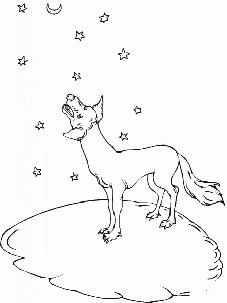 Howl at the moon coyote coloring page image