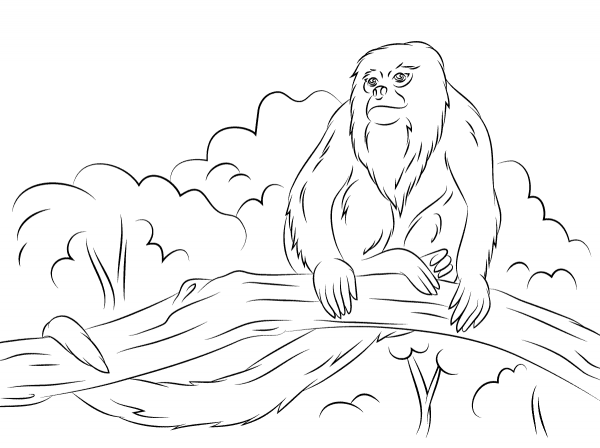 Howler Monkey Sitting on A Tree coloring page image