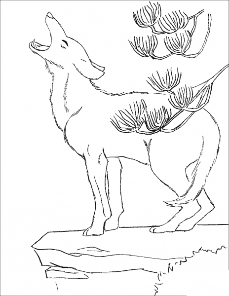 Howling Coyote coloring page image