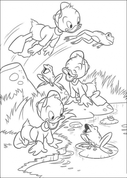 Huey, Dewey and Louie plays with frogs coloring page image