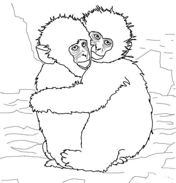 Hugging Snow Monkeys coloring page image