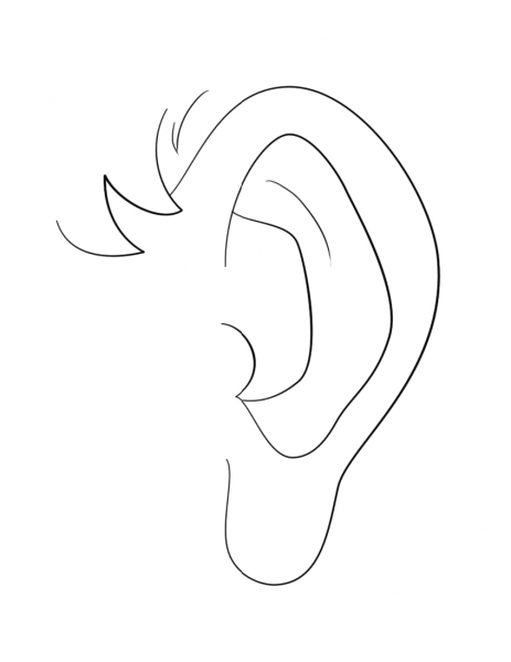 Human Ear coloring page image