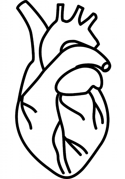 Human Heart coloring page image