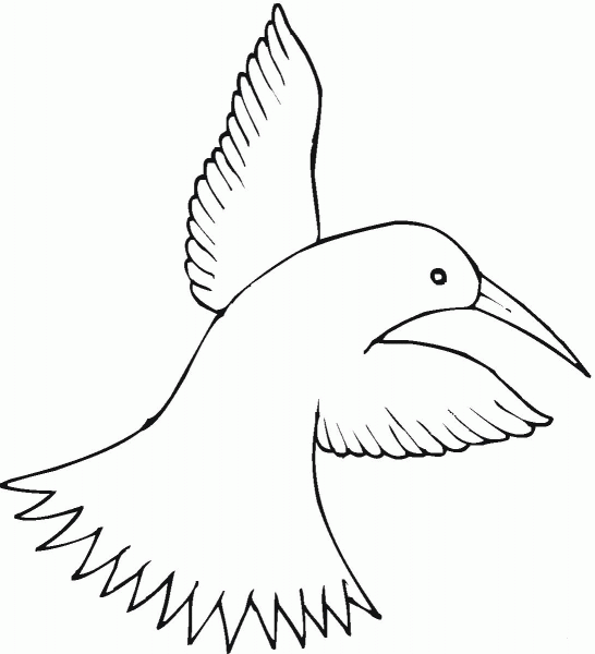 Humming Bird coloring page image