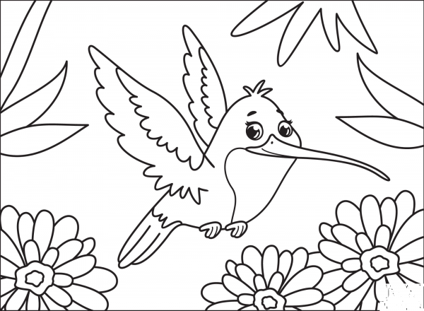 Hummingbird coloring page image