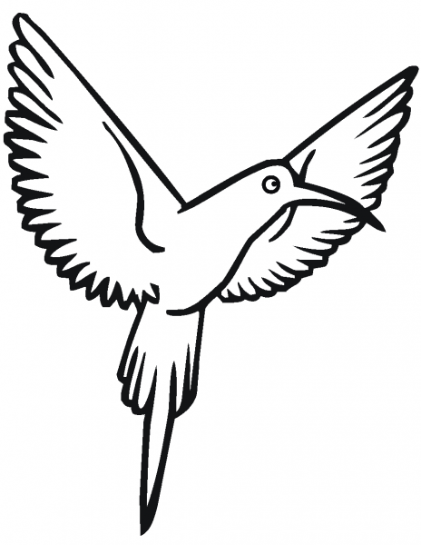 Hummingbird coloring page image