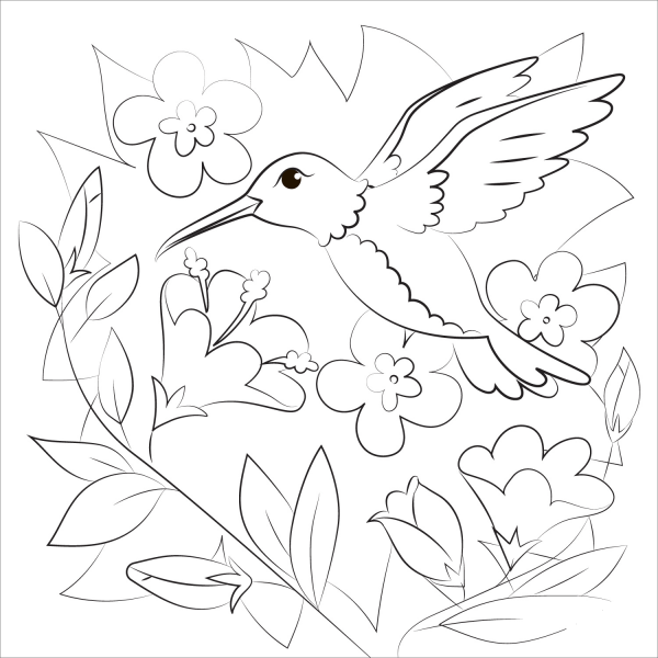 Hummingbird coloring page image