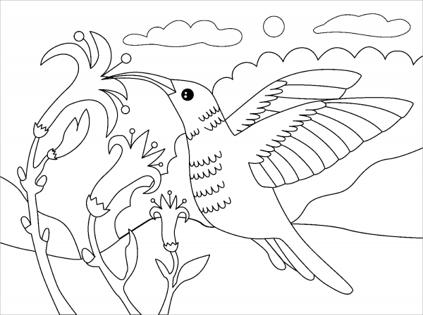 Hummingbird coloring page image
